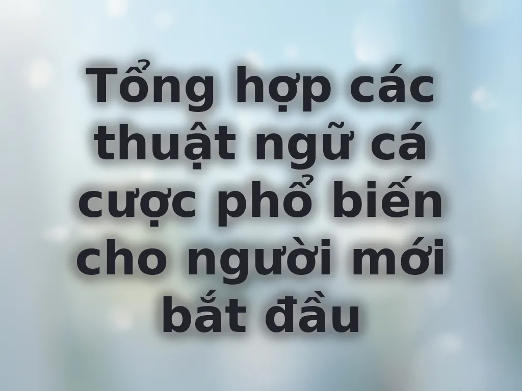 Tổng hợp các thuật ngữ cá cược phổ biến cho người mới bắt đầu